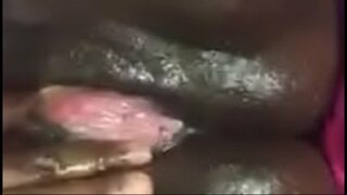 ���ेल बुद्धि dat चॉकलेट गीला बिल्ली